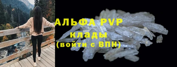 PSILOCYBIN Магас