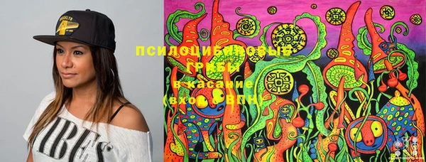 эйфоретик Магадан