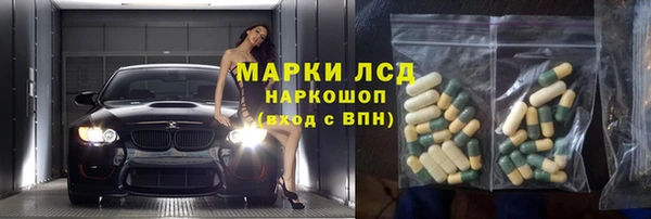 PSILOCYBIN Магас