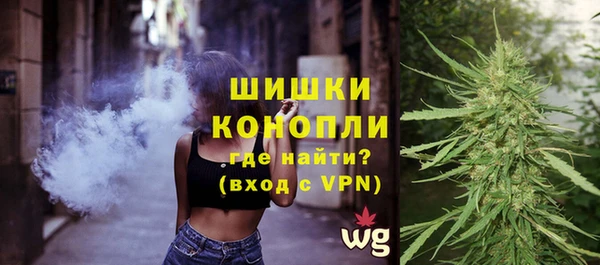 PSILOCYBIN Магас