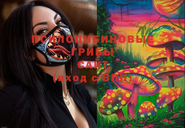 эйфоретик Магадан