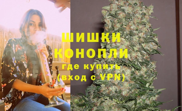 PSILOCYBIN Магас